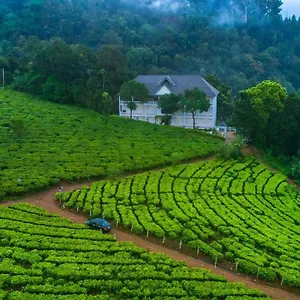 Курортный комплекс Tea Harvester, Муннар